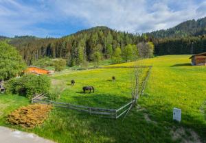 Huberhof 8 by Alpenidyll Apartments