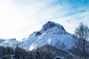 Hotel Berghof