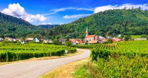 Hotels Hotel Colmar Vignes Eguisheim : photos des chambres