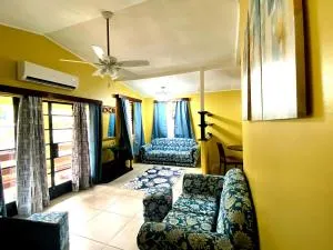 Spacious home near city suite!! - 卡纳里斯