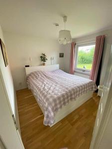 Ferienhaus Möwennest