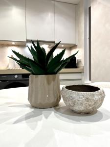 Barrio Luzan by United Renters