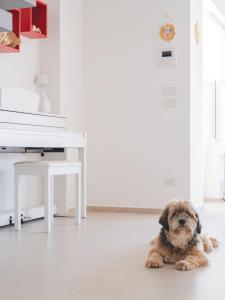 CasaSol - Live Your Sol