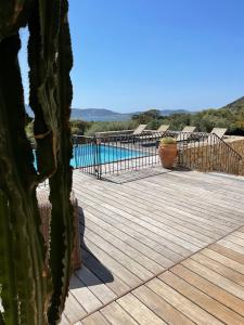 Villas Clos des Oliviers : photos des chambres