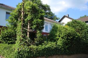Ferienwohnung Zum Rosengarten Driedorf 3 Sterne Unterkunft im Westerwald mit Komfort & zentraler Lage