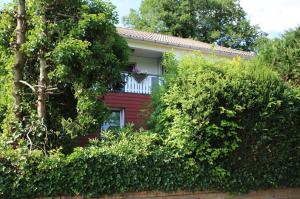Ferienwohnung Zum Rosengarten Driedorf 3 Sterne Unterkunft im Westerwald mit Komfort & zentraler Lage