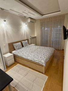 Central Garden grand luxurious apt