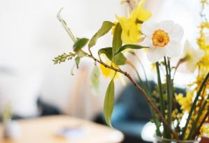 Bauernhof Höper-Rauert - Reihenhaus 6