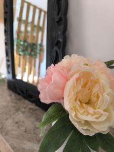 Appartements Studio Douce Parenthese : photos des chambres
