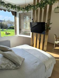 Appartements Studio Douce Parenthese : photos des chambres