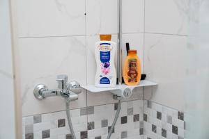 Vila Kristal Tirana Apartments