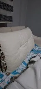 Palaz apart - Marmaraereglisi