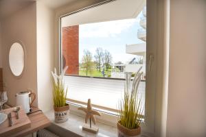 Solymar "Beach Life" App 27