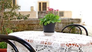 Da Paolina, alle Sterne Nove!