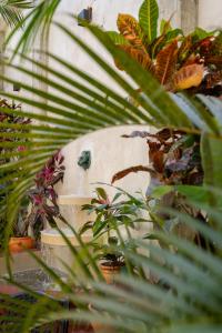 El Mambo Boutique Hotel