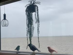 Traumlage Nr 58 Traumblick direkt am Wattenmeer erste Reihe unendliche Weite, eingebettet in der Natur