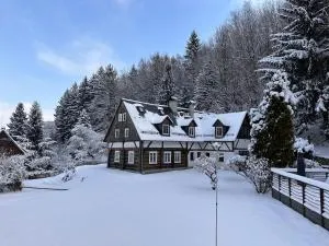 Forest View Cottage - Nová Ves