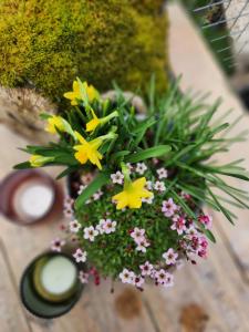 Buiten Huisje aan de Vaart 1