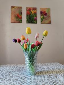 La Palazzina dei Fiori