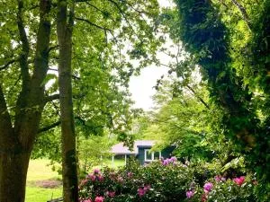 Lütje Nüst - Upgant-Schott