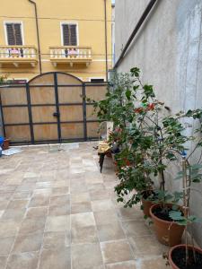 Monolocale studio 18 img5