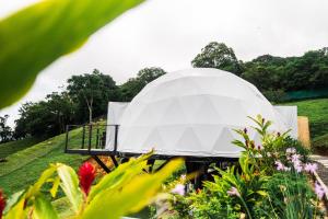 Domo Mágico en las Alturas, EL SOL