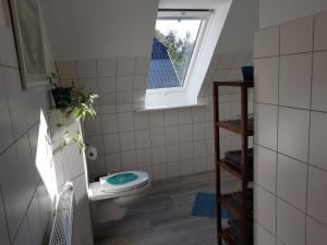 Seeblick- Noer