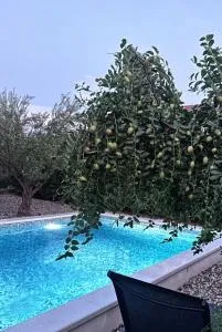 House MARIO - Novi Stafilić