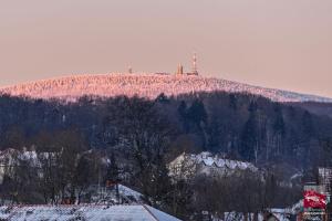 Ferienwohnung im Harz