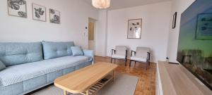 Zadria new center app