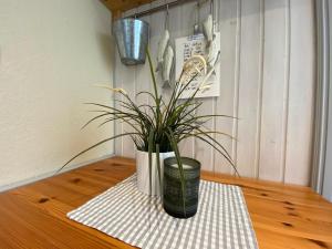 Haus AchternDiek Strandhafer