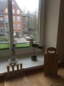 Ferienwohnung "Kutscherhaus"