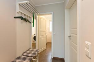Stieglitz Nest