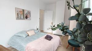 Maisons de vacances Le Constantin - maison spacieuse et conviviale - 5 ch et 2 SDB : photos des chambres