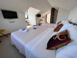 Aria Oasi Relax