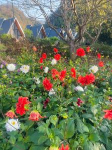 Vườn An nhiên Mộc Châu