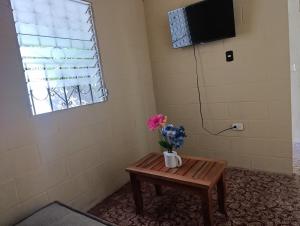 The House of Bougainvillea