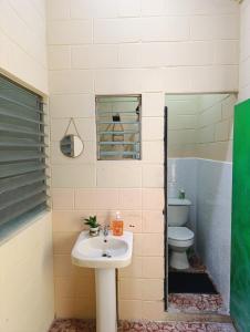 The House of Bougainvillea