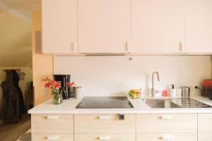 Haus Hummel Ferienwohnung Liese