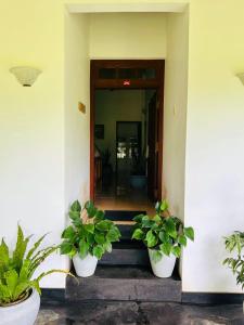 Two-room cottage kandy