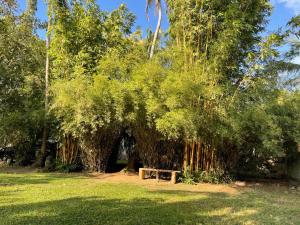 Malsri Villa Weligama