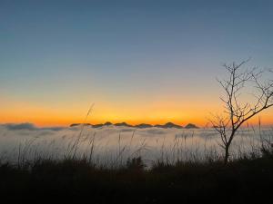 PuBin Paradise Ecolodge