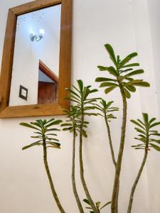 Summer lodge-Tangalle