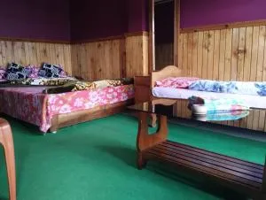 Dreamland Homestay - Lava