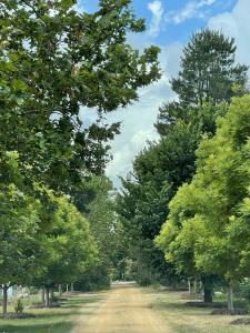 Highclere Farm - Yass Valley