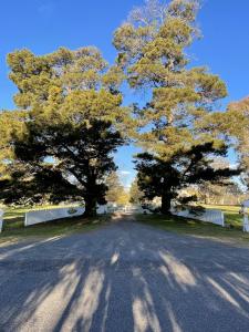 Highclere Farm - Yass Valley