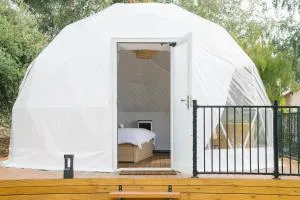 zhus garden - The Basin