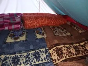 Avk Tents near kedarnath - Kedārnāth