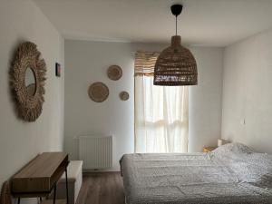 Appartements T2 Boho pres du lac : photos des chambres