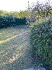 Helt i natur og tæt på stranden